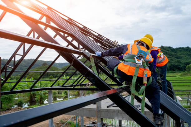 Best Metal Roofing Contractor  in Langley, SC
